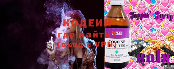 ГАЛЛЮЦИНОГЕННЫЕ ГРИБЫ Осташков