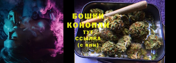 ГАЛЛЮЦИНОГЕННЫЕ ГРИБЫ Осташков